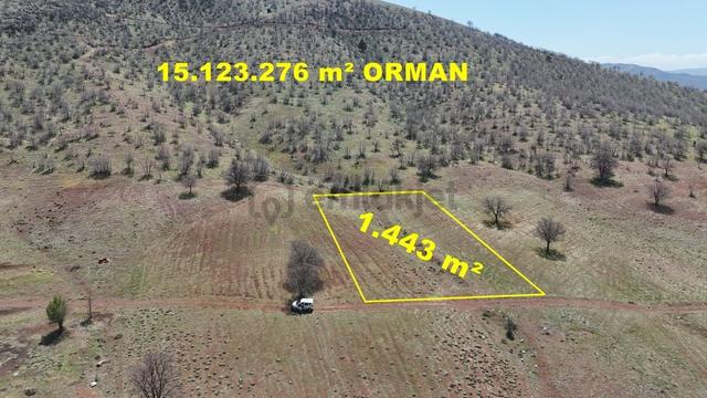 Konya / Güneysınır / Kızılöz Mahallesinde 1.443 M² Müstakil Tapulu Tarla 4