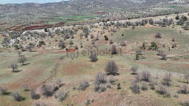 Konya / Güneysınır / Kızılöz Mahallesinde 1.619 M² Müstakil Tapulu Tarla 5