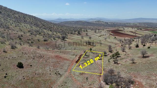 Konya / Güneysınır / Kızılöz Mahallesinde 1.328 M² Müstakil Tapulu Tarla 4