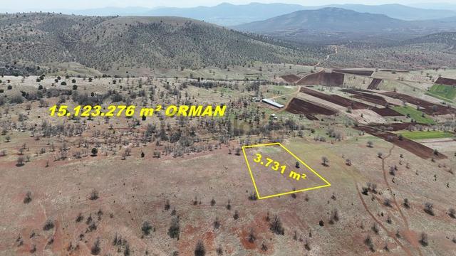 Konya / Güneysınır / Kızılöz Mahallesinde 3.731 M² Müstakil Tapulu Tarla 5