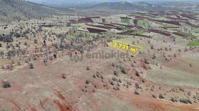 Konya / Güneysınır / Kızılöz Mahallesinde 3.731 M² Müstakil Tapulu Tarla 2