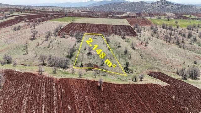 Konya / Güneysınır / Kızılöz Mahallesinde 2.148 M² Müstakil Tapulu Tarla 1