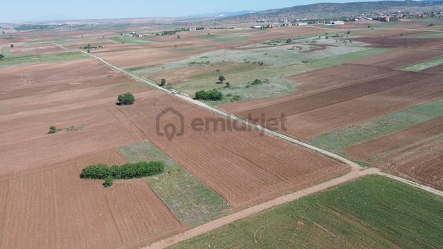 Akören Tülce De 2.296 M2 Müstakil Tapulu Arazi 2