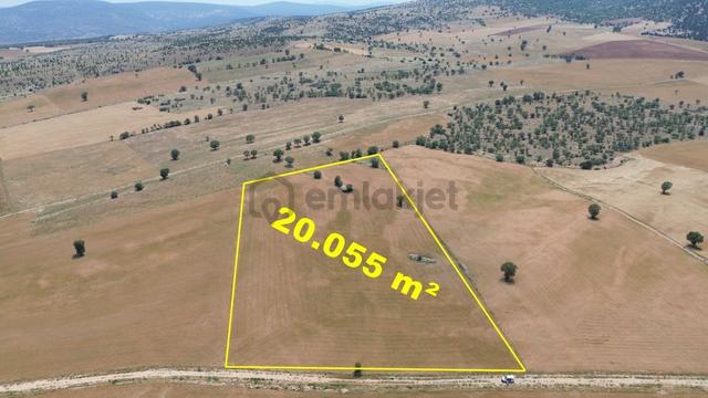 Konya / Akören / Alan Mahallesinde 20.055 M² Müstakil Tapulu Tarla 5