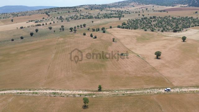 Konya / Akören / Alan Mahallesinde 20.055 M² Müstakil Tapulu Tarla 3