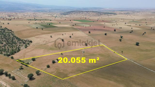 Konya / Akören / Alan Mahallesinde 20.055 M² Müstakil Tapulu Tarla 2