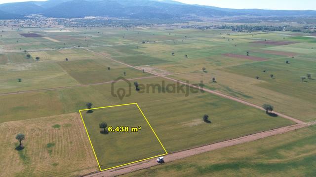 Konya Akörende 6.438 M² Verimli Konumu Güzel Tarla 2