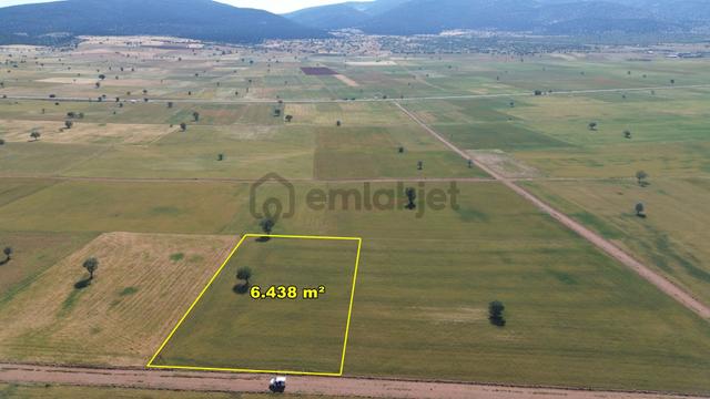 Konya Akörende 6.438 M² Verimli Konumu Güzel Tarla 5