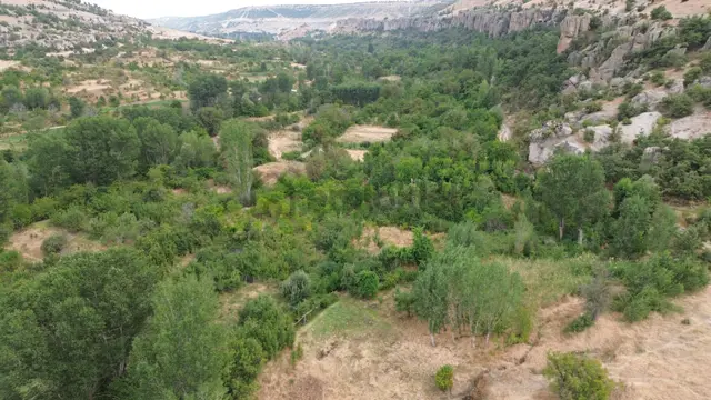 Meram Güneydere De 941 M2 Müstakil Tapulu Bahçelik 2
