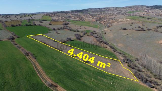 Konya / Ilgın / Belekler Mahallesinde 4.404 M² Müstakil Tapulu Tarla 4