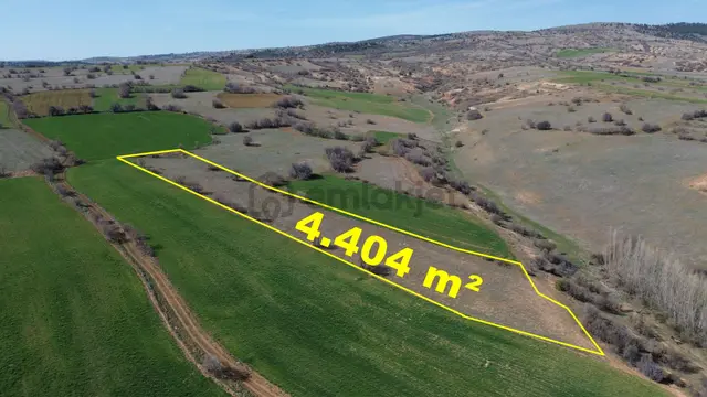 Konya / Ilgın / Belekler Mahallesinde 4.404 M² Müstakil Tapulu Tarla 3