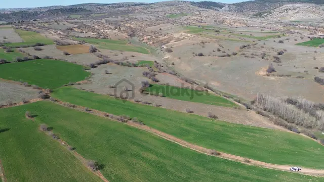 Konya / Ilgın / Belekler Mahallesinde 2.615 M² Müstakil Tapulu Tarla 1