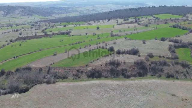 Konya / Ilgın / Belekler Mahallesinde 2.615 M² Müstakil Tapulu Tarla 2