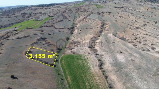 Konya / Ilgın / Belekler Mahallesinde 3.155 M² Müstakil Tapulu Tarla 1