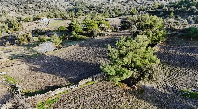 Yıldırım Mühendislik'ten Hasanlar Mah."2.542 M2" Köy İçi Tarla 2