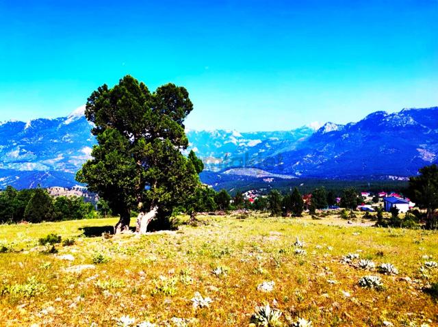 Kar Emlaktan Yenikonacıkta Yüksek Konumlu 375 M2 Satılık Arsa 3