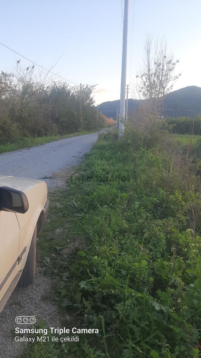 Ortaca Fevziye 7100 M2 Tarla 3
