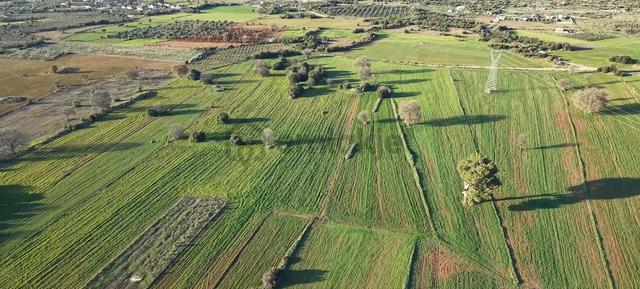 Antalya Kepez Odabaşı Nda Rızaı Taksım Yapılmış Tarla 3
