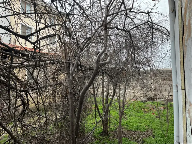 Odunpazarı Osmangazi’de Satılık Kargir Bahçeli Ev 4