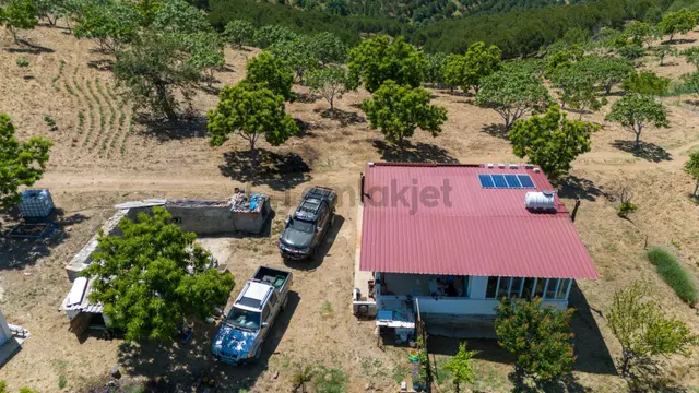 Aydın Yenipazar Alioğullar Mah De Satılık 30 Dönüm İncir Bahçesi Ve Bağ Evi 3