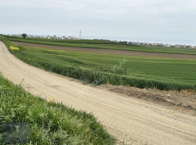 Marmaraereğlisi Çeşmeli Deniz Manzaralı Yola Cephe Kupun Arsa 4