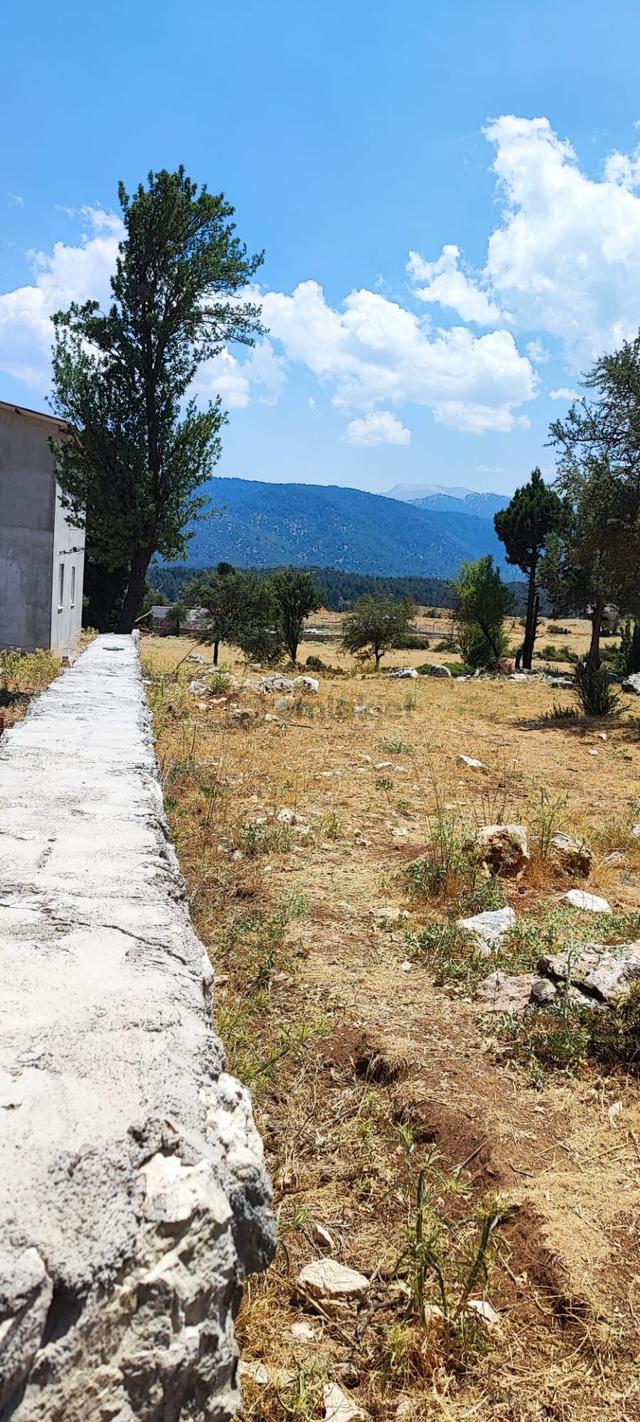 Sahibinden 1.706 M2 Tek Tapu Karabel-y.ceylan Satılık 1