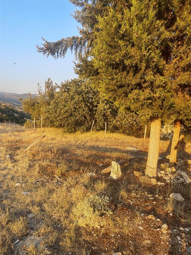Manisa Köprübaşı Yenice Mh 67750 M2 Arazi 4