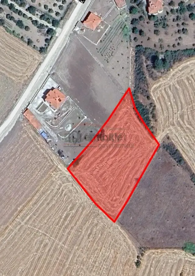 Güvenay - Çorum Ted İlerisi Büğet Yolu 23 Dönüm Satılık Tarla 4