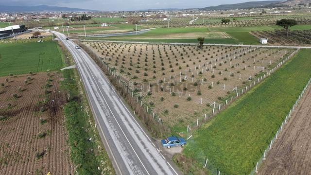 Tekelide Anayol Cepheli Satılık Tapulu 260 M2 İzbana Yakın Bahçeler 5