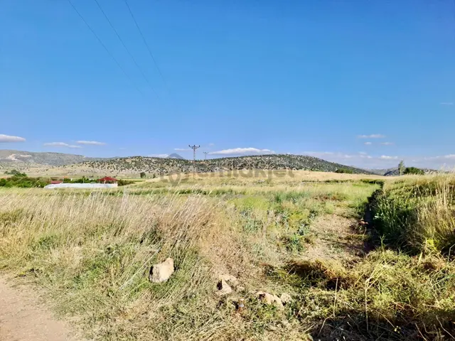 Yeşilbayır Merkezinde Satılık İsteğe Bağlı Ticari + Konut İmarlı Köşebaşı Arsa