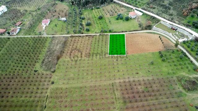 Sakarya / Geyve / Burhaniye Mahallesi’nde Asfalt Yola Cepheli – %40 Konut İmarlı 2 Adet Arsa 3