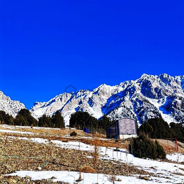 Kar Emlaktan Aşçıbekirli Fenese Mevkiinde 400 M2 Satılık Arsa 4