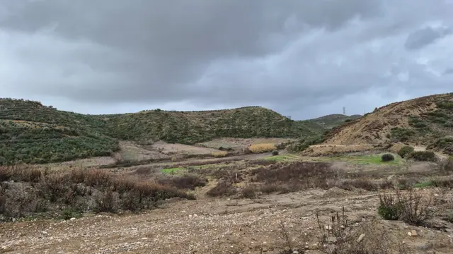Manavgat Merkeze 8 Km Acil Satılık 33 Dönüm Tarla 3
