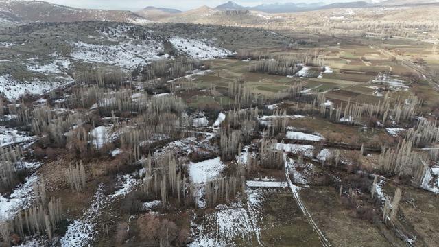 Konya / Meram / İnlice Mahallesinde 432 M² Müstakil Tapulu Tarla 5