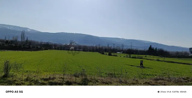 Adalet Gold Group Emlak'tan Bahçelievler Mahallesi'de Yol Kenarında Satılık 15.000 M2 Arsa 3