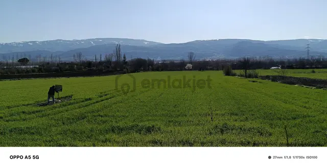 Adalet Gold Group Emlak'tan Bahçelievler Mahallesi'de Yol Kenarında Satılık 15.000 M2 Arsa 5