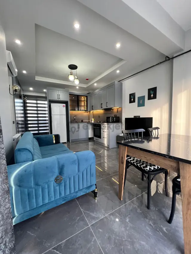 Karınca'dan Deniz Mh'de Eşyalı Kiracılı 1+1 Satılık Daire ! 2