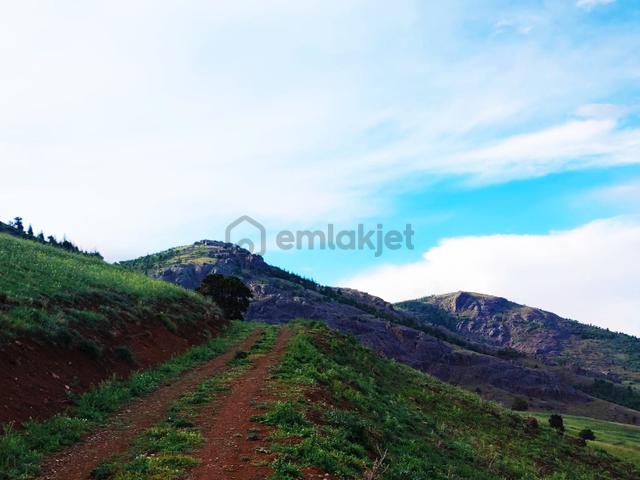 Kar Emlaktan Yazıcak Köyünde 500 M2 Satılık Arsa 5