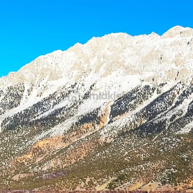 Kar Emlaktan Kamışlı Yaylasında 600 M2 Satılık Arsa 5