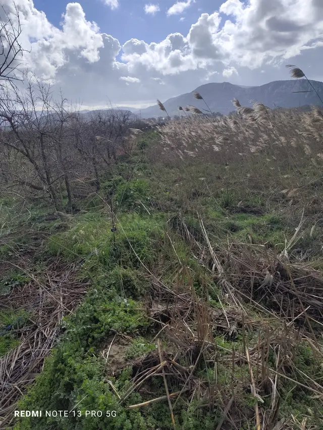 Selçuk'ta Satılık Tarla 2