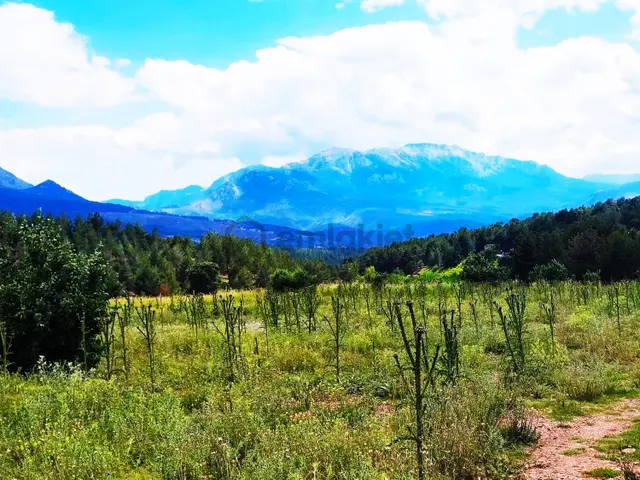 Kar Emlaktan Alpu Yaylasında 480 M2 Satılık Arsa 5
