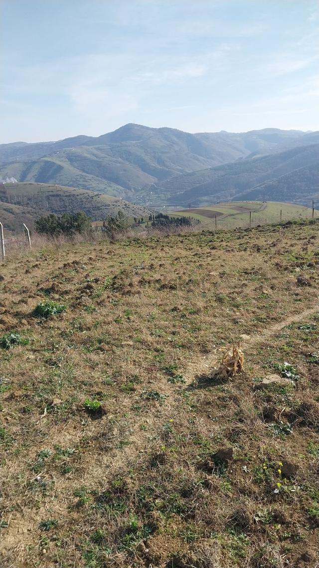 Satılık Arsa 3