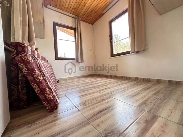 Mera Emlaktan Dereli Köyünde Ev+dam+su+ Mevcut 9.775m2 Zeytinlik 4