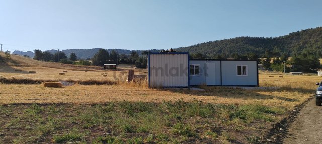 Sakarya Geyve Karacaören Hobi Bahçesi İçinde Konteynırlı Tarla. Sakarya Geyve Karacaören Hobi Bahçesi İçinde Konteynırlı Tarla.