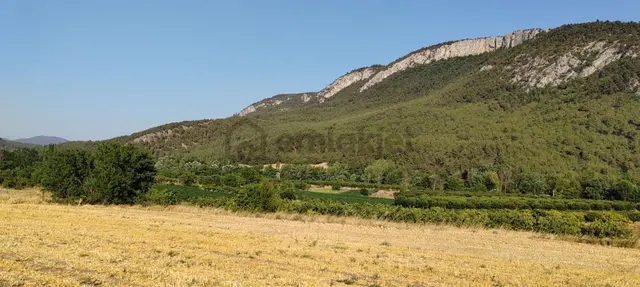 Sakarya Geyve Karacaören Hobi Bahçesi İçinde Konteynırlı Tarla. 4