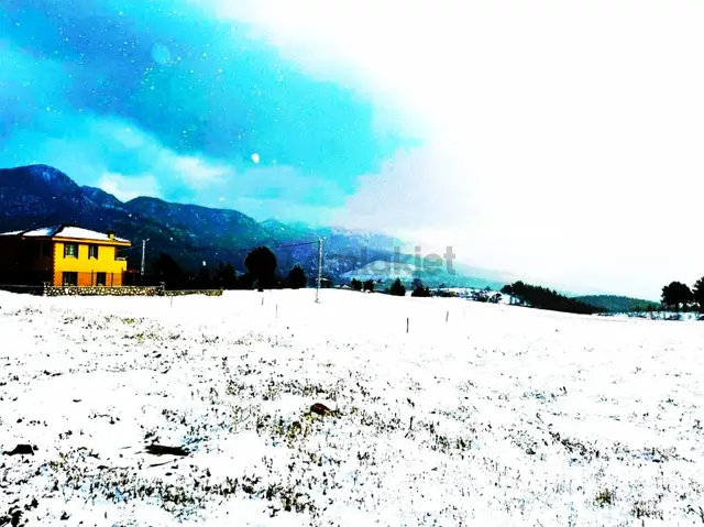 Kar Emlaktan Alpu Yaylasında 480 M2 Satılık Arsa 3