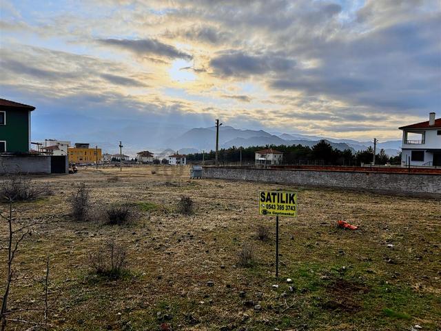 Sıla Gayrimenkulden 3 Kat İmarlı Villa Arsası Çamlık & Orman İçi 2