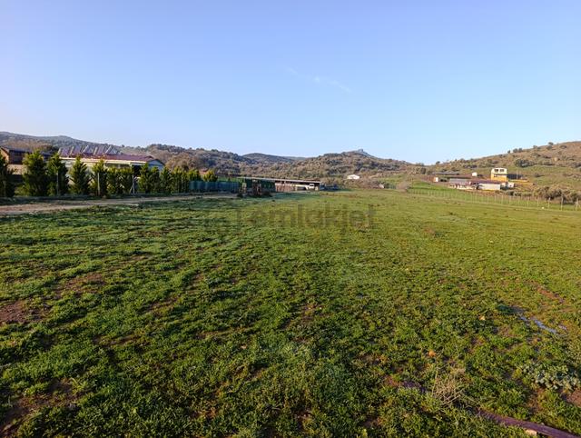 Foça Bucak Mevkiinde Satılık 1500m2 Hisse Tapulu Arazi 3