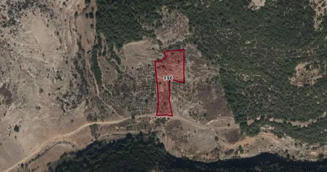 Mersin / Tarsus / Karakütük Köyü’nde Yatırım Değerli Satılık Tarla 2