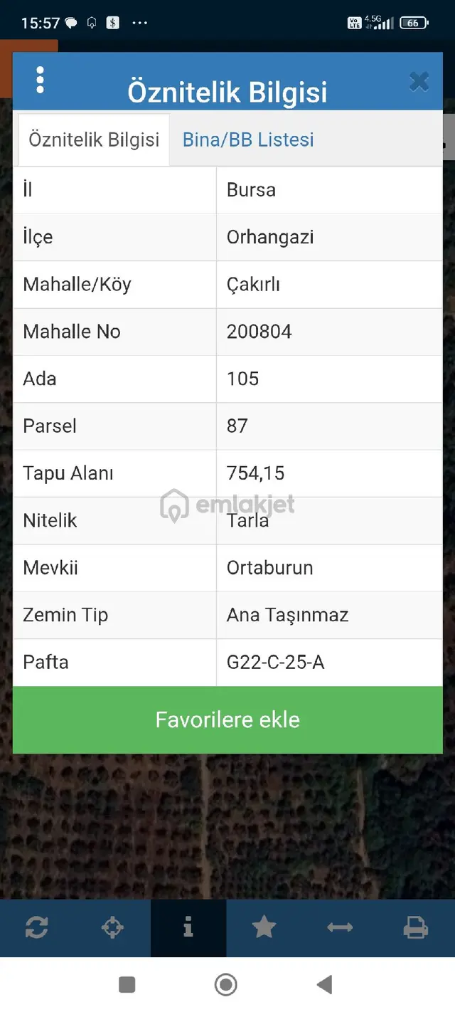 Bütçenize Uygun Zeytinlik 2